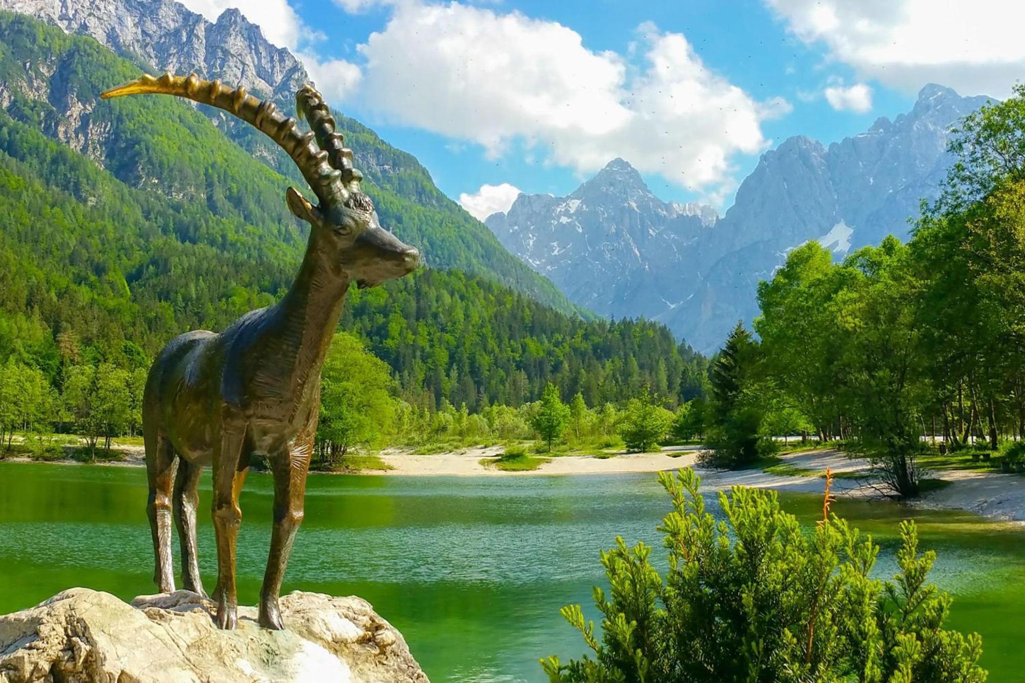 Alpine Retreat Gaja Kranjska Gora - Happy Rentals Exterior foto
